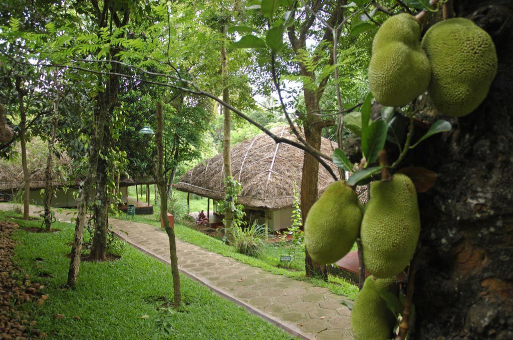 Spice Village Thekkady - A Cgh Earth Experience Zewnętrze zdjęcie